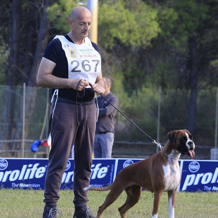 Vincenzo Alberto Fiorelli consigliere BCI