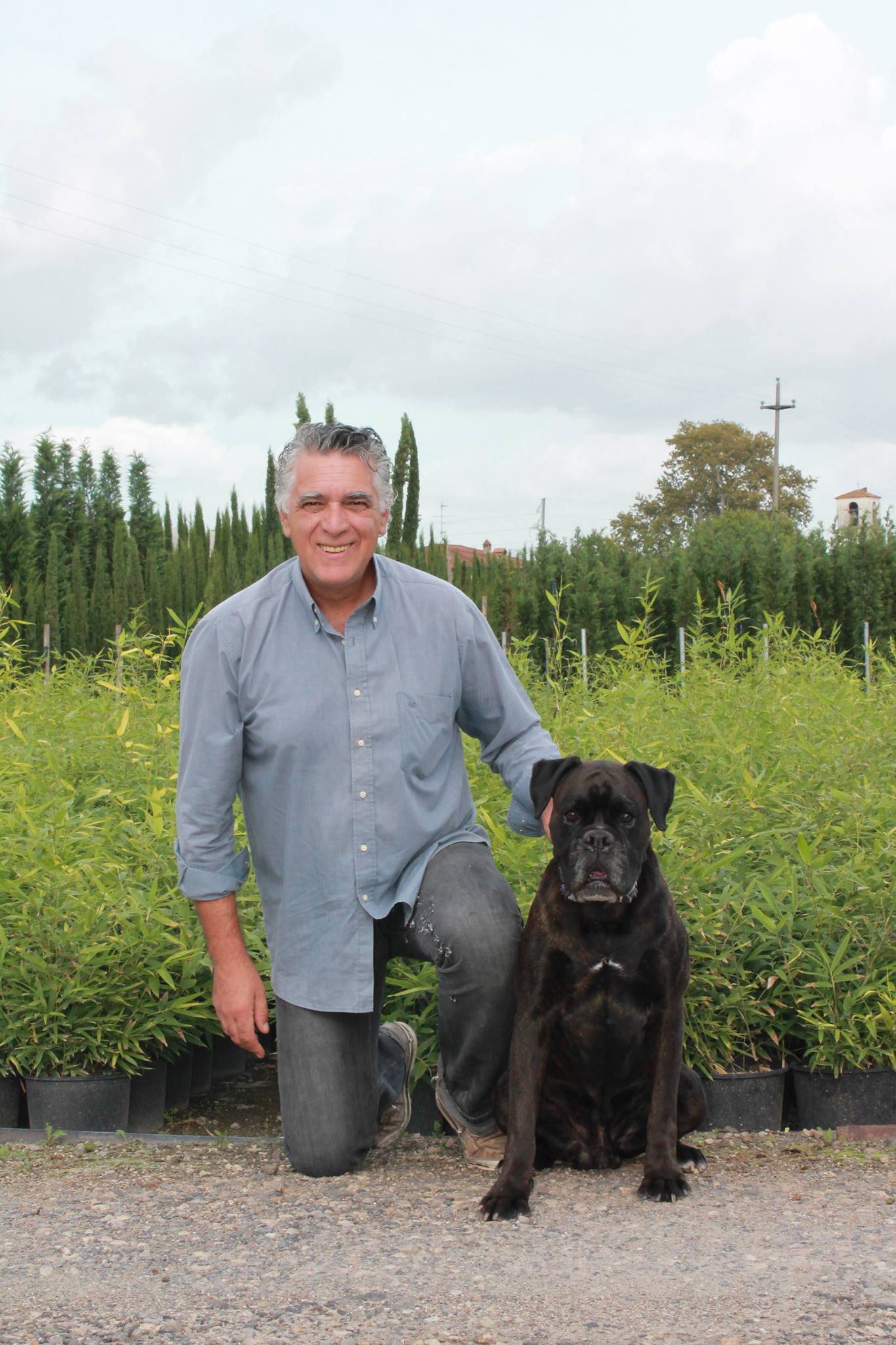 Giuseppe Marco Nugnes consigliere BCI